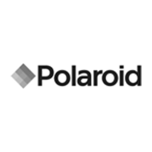 ScreenCheck acquires Polaroid 2009
